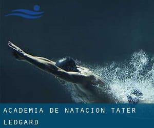 Academia de Natación Tater Ledgard