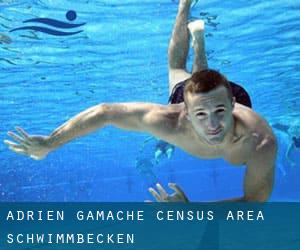 Adrien-Gamache (census area) schwimmbecken