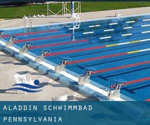 Aladdin Schwimmbad (Pennsylvania)