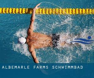 Albemarle Farms Schwimmbad