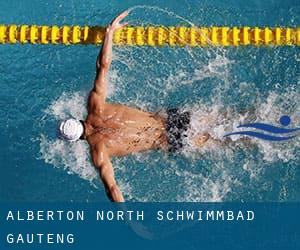 Alberton North Schwimmbad (Gauteng)