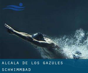 Alcalá de los Gazules Schwimmbad