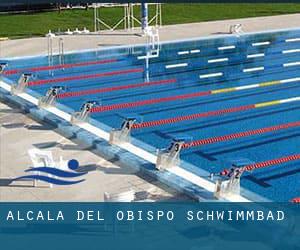 Alcalá del Obispo Schwimmbad