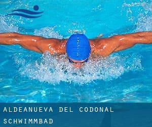 Aldeanueva del Codonal Schwimmbad