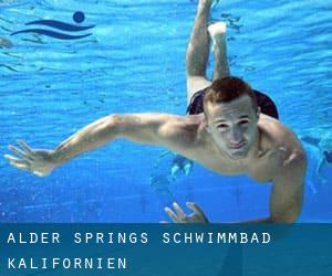 Alder Springs Schwimmbad (Kalifornien)