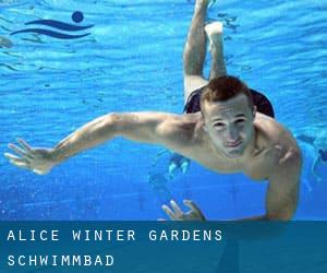 Alice Winter Gardens Schwimmbad