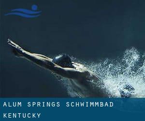 Alum Springs Schwimmbad (Kentucky)