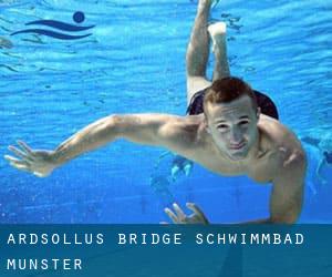 Ardsollus Bridge Schwimmbad (Munster)