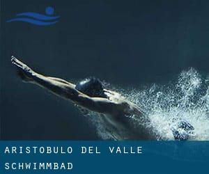 Aristóbulo del Valle Schwimmbad