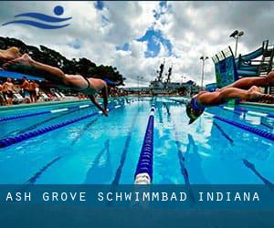 Ash Grove Schwimmbad (Indiana)