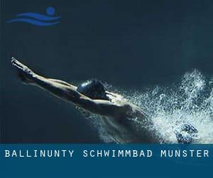 Ballinunty Schwimmbad (Munster)