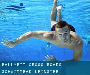 Ballybit Cross Roads Schwimmbad (Leinster)