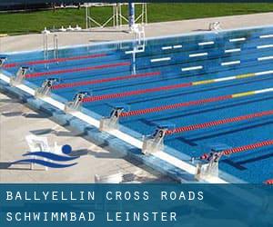 Ballyellin Cross Roads Schwimmbad (Leinster)