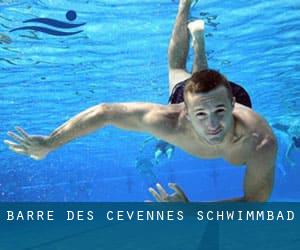 Barre-des-Cévennes Schwimmbad