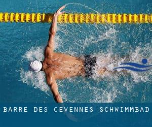 Barre-des-Cévennes Schwimmbad