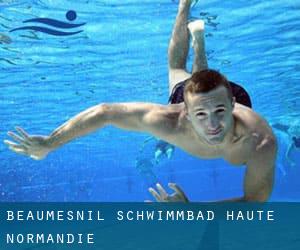 Beaumesnil Schwimmbad (Haute-Normandie)