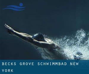 Becks Grove Schwimmbad (New York)