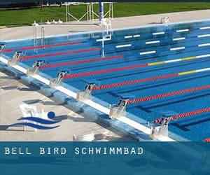 Bell Bird Schwimmbad