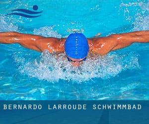 Bernardo Larroudé Schwimmbad