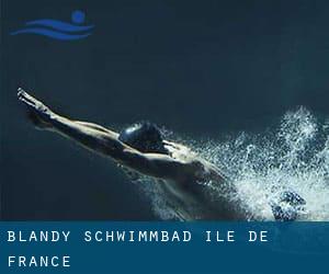 Blandy Schwimmbad (Île-de-France)