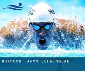 Boxwood Farms Schwimmbad