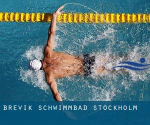 Brevik Schwimmbad (Stockholm)