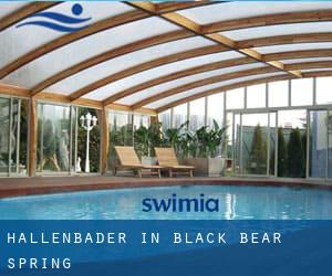 Hallenbader in Black Bear Spring