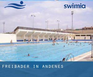 Freibader in Andenes