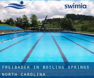 Freibader in Boiling Springs (North Carolina)