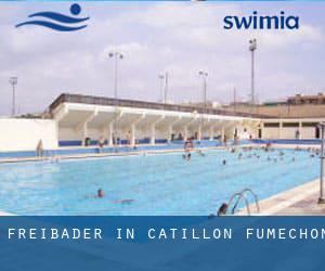 Freibader in Catillon-Fumechon