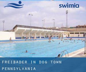 Freibader in Dog Town (Pennsylvania)