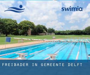 Freibader in Gemeente Delft