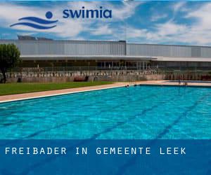 Freibader in Gemeente Leek