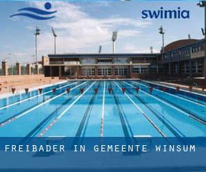 Freibader in Gemeente Winsum