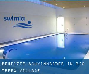 Beheizte-Schwimmbader in Big Trees Village