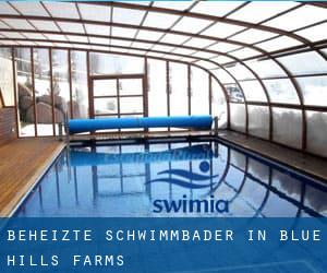 Beheizte-Schwimmbader in Blue Hills Farms