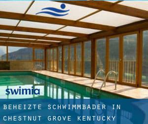 Beheizte-Schwimmbader in Chestnut Grove (Kentucky)