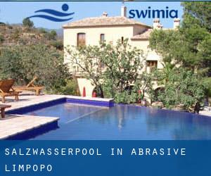 Salzwasserpool in Abrasive (Limpopo)