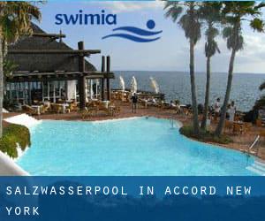 Salzwasserpool in Accord (New York)