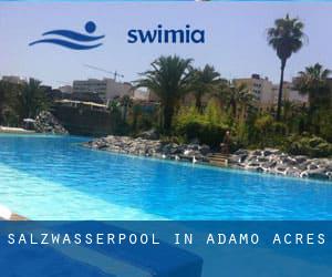 Salzwasserpool in Adamo Acres