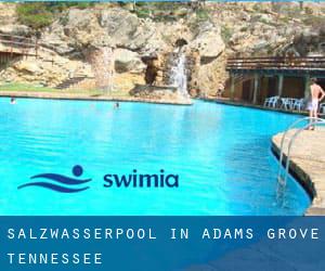 Salzwasserpool in Adams Grove (Tennessee)