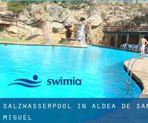 Salzwasserpool in Aldea de San Miguel