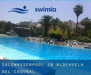 Salzwasserpool in Aldehuela del Codonal