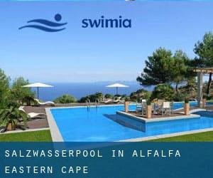 Salzwasserpool in Alfalfa (Eastern Cape)