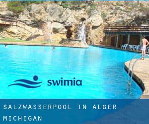 Salzwasserpool in Alger (Michigan)