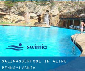 Salzwasserpool in Aline (Pennsylvania)