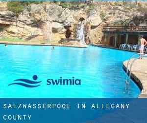 Salzwasserpool in Allegany County