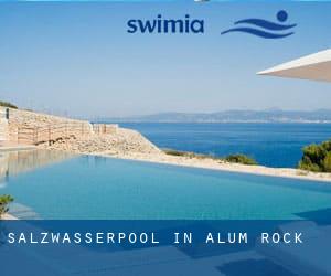 Salzwasserpool in Alum Rock