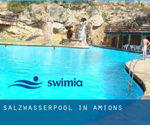 Salzwasserpool in Amions