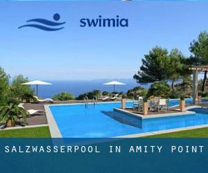 Salzwasserpool in Amity Point